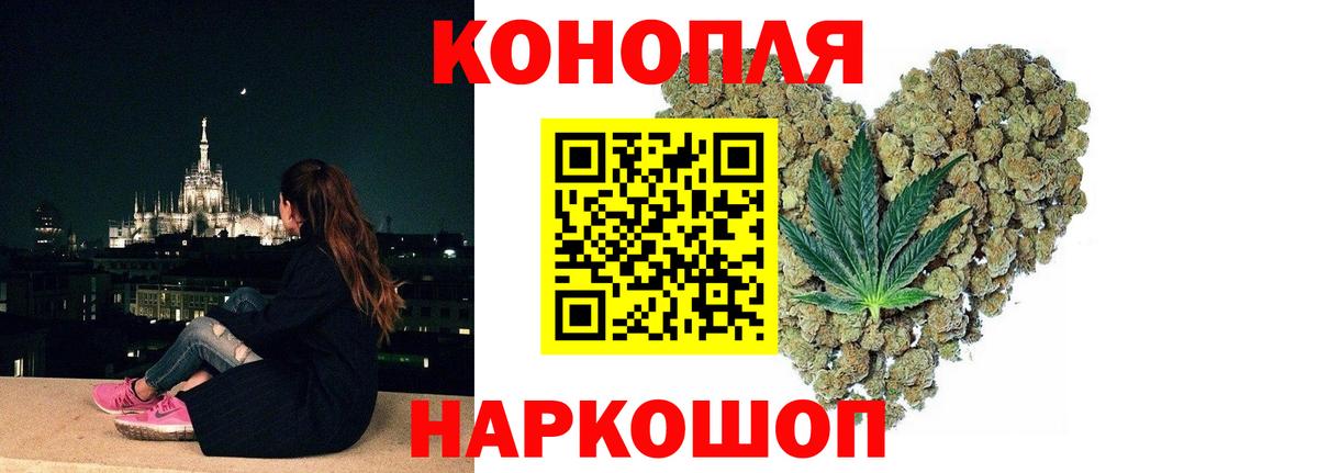 Шишки марихуана сатива  Вход с VPN  Курск  Марихуана ГИДРОПОН 